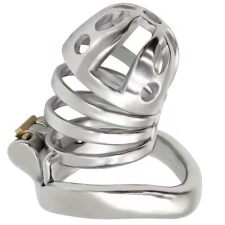 Sexual World Master Male Chastity Libido Control Cage Penis Kafesi 45 mm