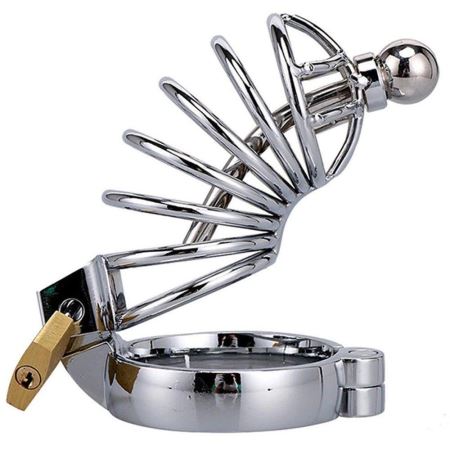 Sexual World Master Male Chastity Urethral Play Chastity Penis Kafesi 45 mm